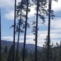 Wenaha -Tucannon Wilderness Dispersed Campground #6 ico