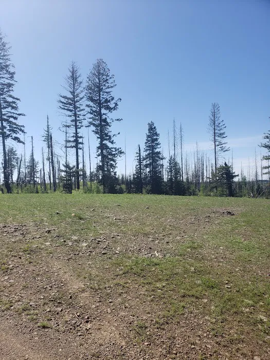 Teal Spring Campground Picture 10