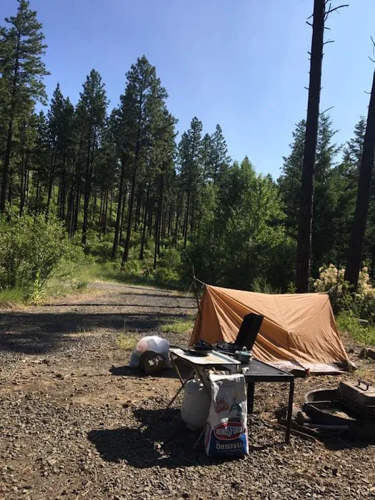 Tucannon Campground Picture 3