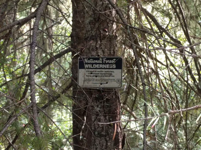 Ladybug Campground Picture 3