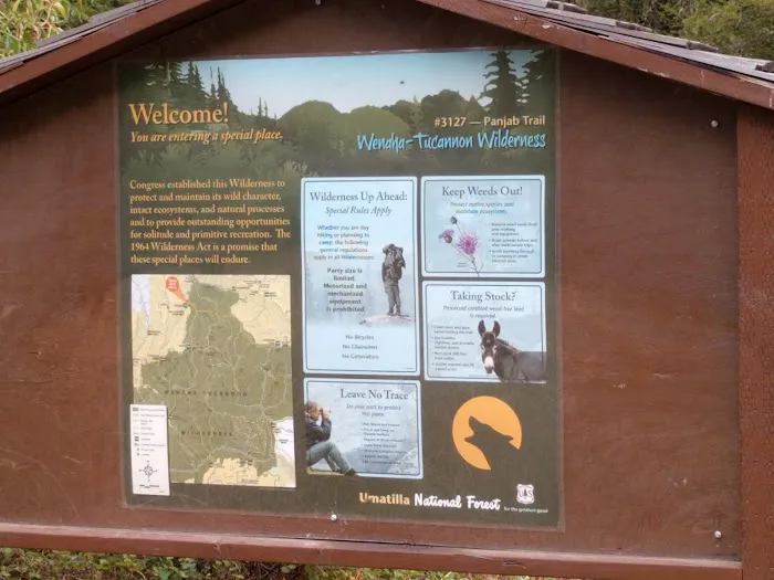 Ladybug Campground Picture 1