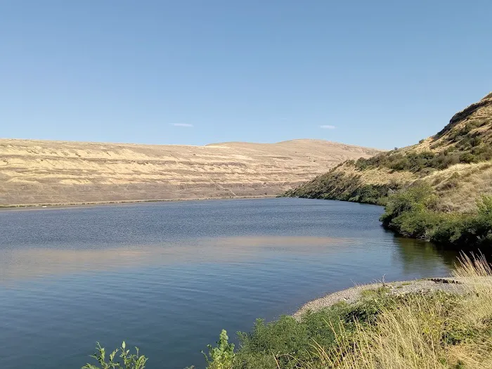 Illia Landing Campground and Boat Launch Picture 2