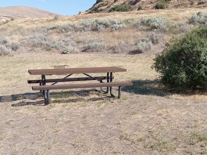 Illia Landing Campground and Boat Launch Picture 9