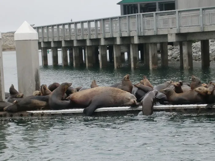 Moss Landing KOA Express Picture 4