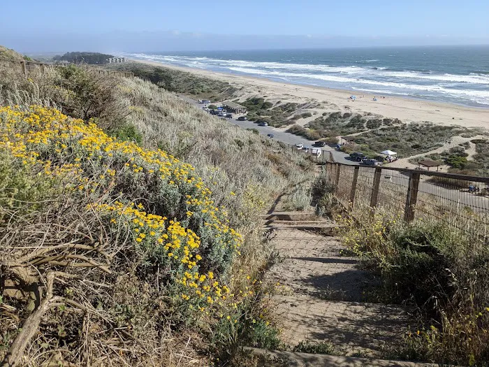 Sunset State Beach Campground Picture 3