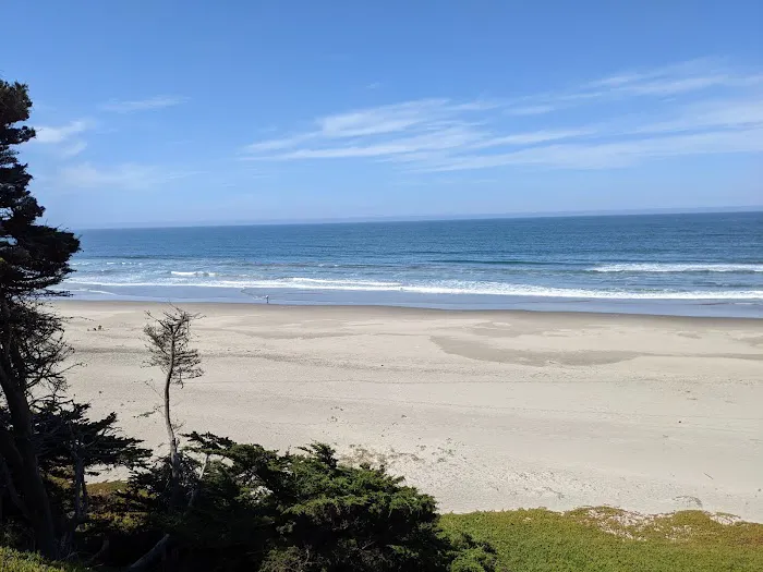 Sunset State Beach Campground Picture 2