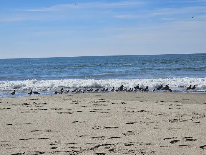 Sunset State Beach Campground Picture 4