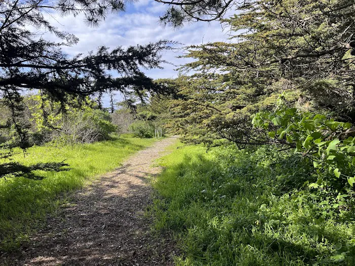 Sunset State Beach Campground Picture 5