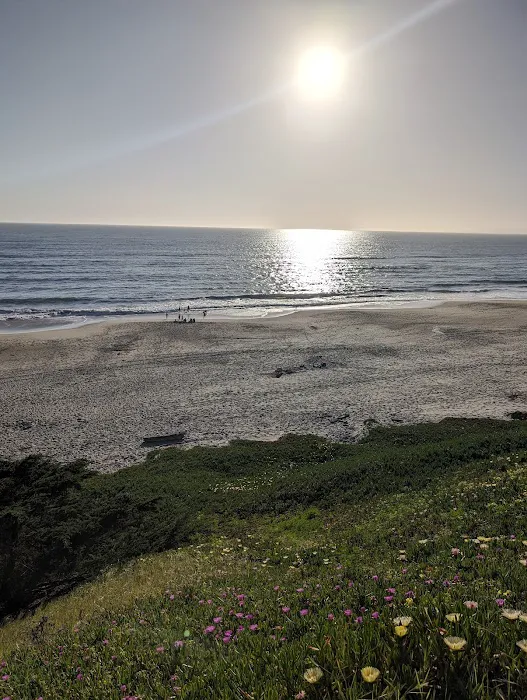 Sunset State Beach Campground Picture 7
