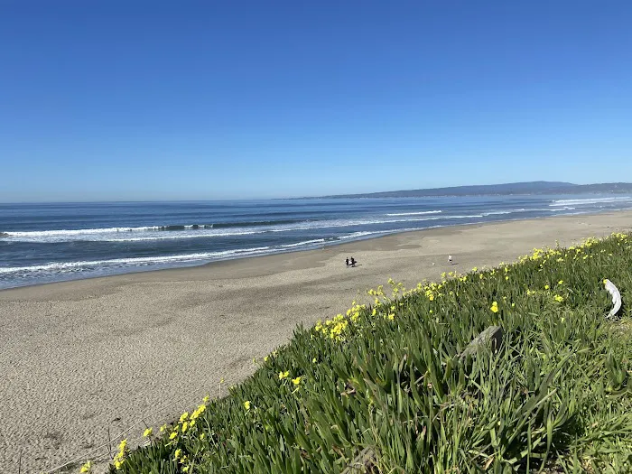 Manresa Uplands State Beach & Campground Picture 5