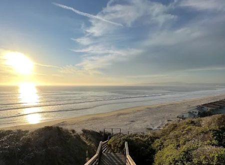 Manresa Uplands State Beach & Campground