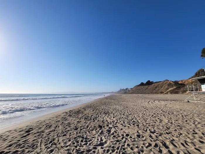 Manresa Uplands State Beach & Campground Picture 4