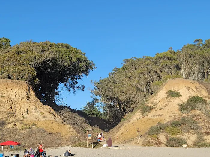 Manresa Uplands State Beach & Campground Picture 7