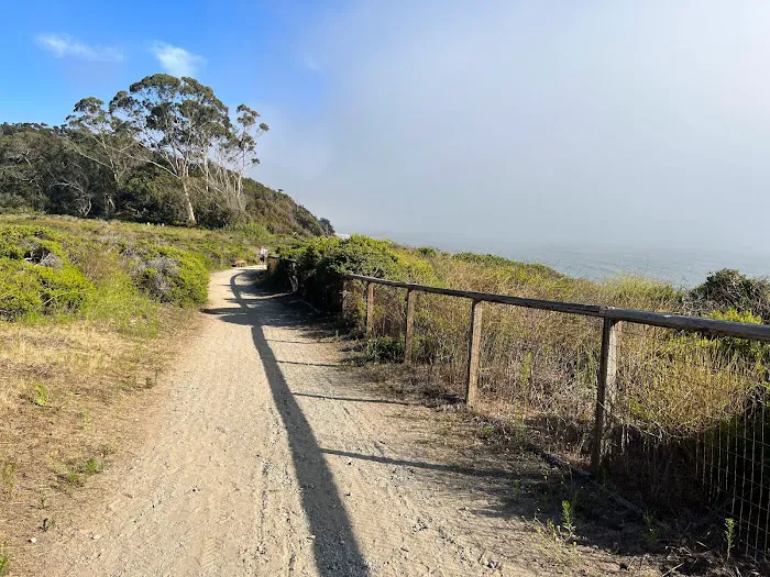 Manresa Uplands State Beach & Campground Picture 3