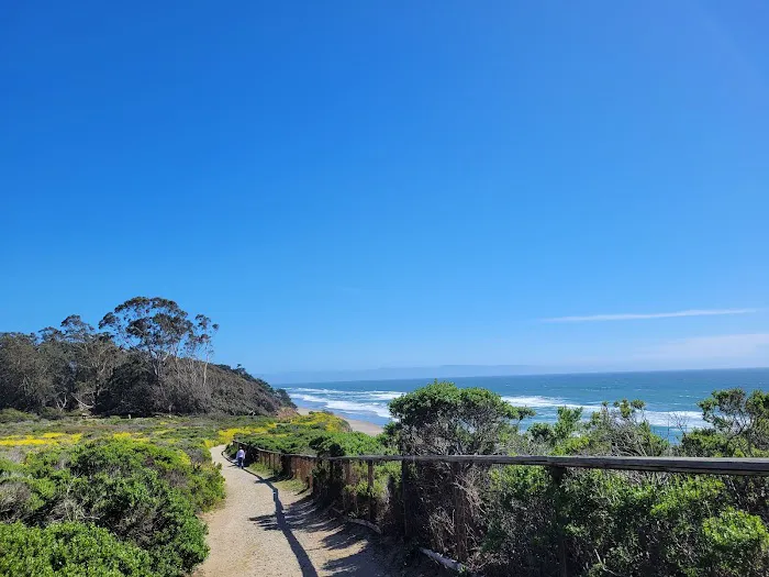 Manresa Uplands State Beach & Campground Picture 8