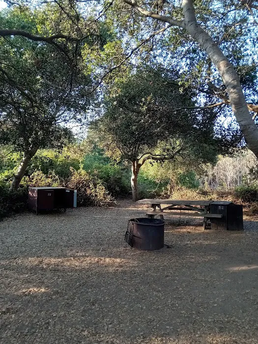 Manresa Uplands State Beach & Campground Picture 6