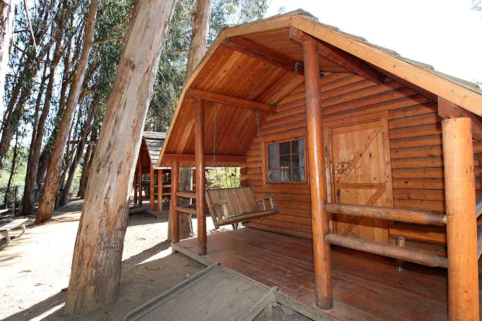 Santa Cruz / Monterey Bay KOA Holiday Picture 2