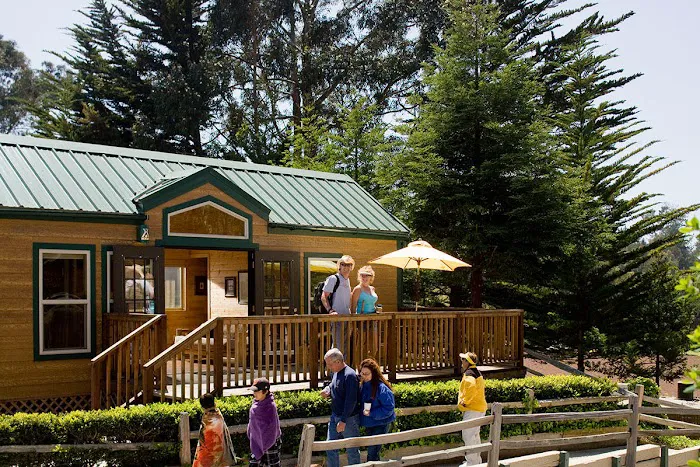 Santa Cruz / Monterey Bay KOA Holiday Picture 7