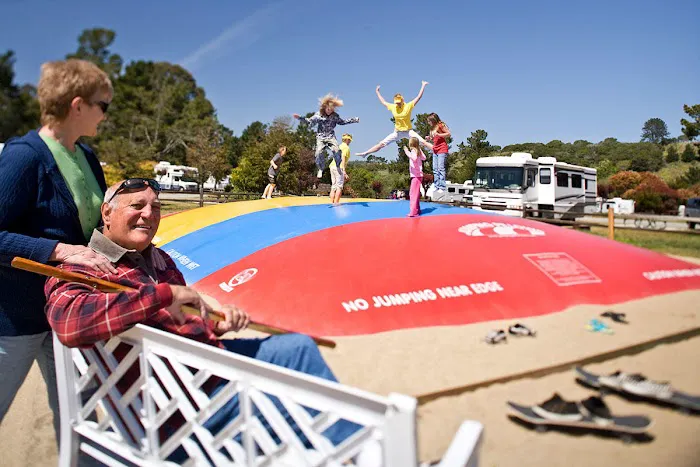 Santa Cruz / Monterey Bay KOA Holiday Picture 9