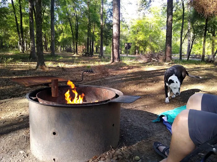 Cloud Crossing Campground Picture 7