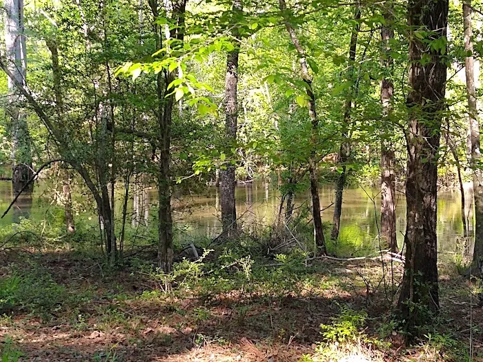 Cloud Crossing Campground Picture 10