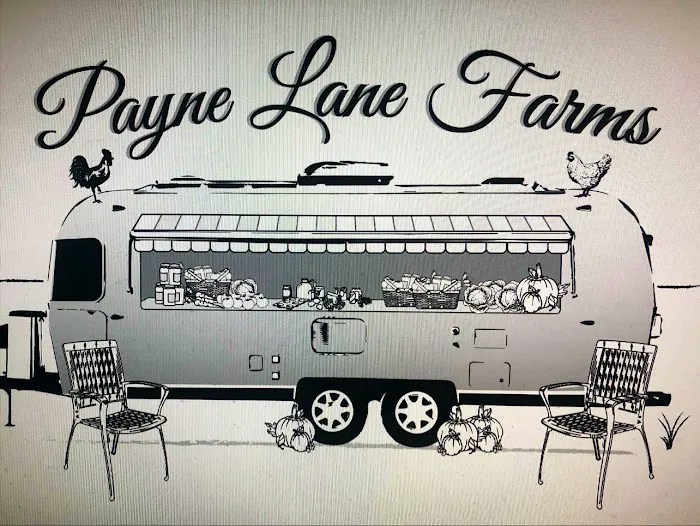 The Farm Barn by Payne Lane Picture 4