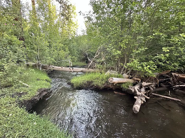 Lower Buck Creek Campground Picture 3