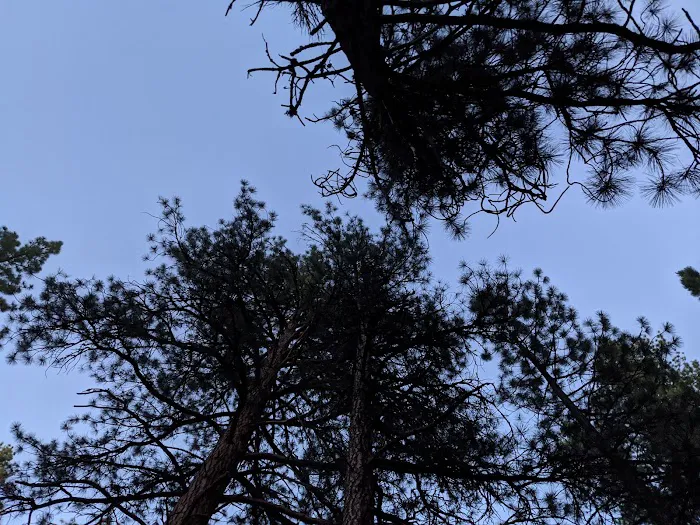 Lower Buck Creek Campground Picture 5