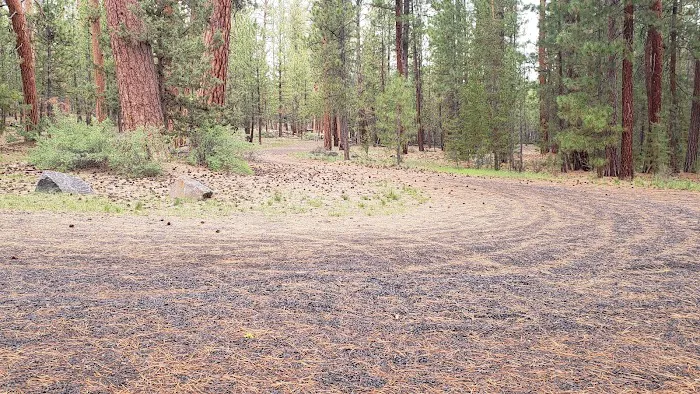 Lower Buck Creek Campground Picture 9