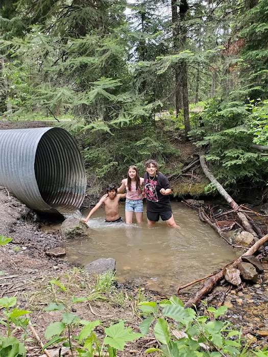 Cutsforth Campground Picture 3