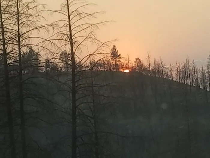 Malheur National Forest Wickiup Campground Picture 4