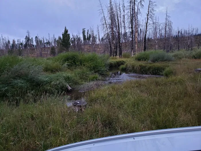 Parish Cabin Campground Picture 9