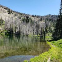 Indian Springs Campground ico