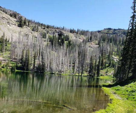 Indian Springs Campground