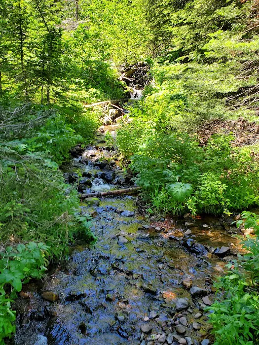 Strawberry Campground Picture 9