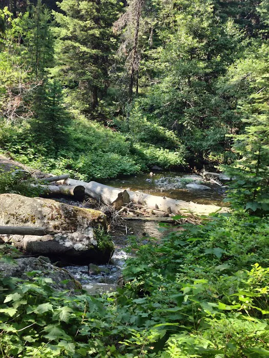 Strawberry Campground Picture 6
