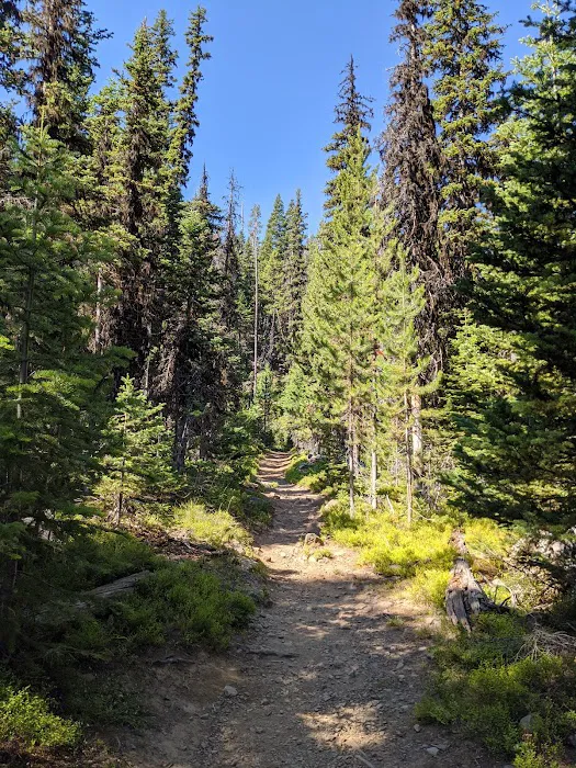 Strawberry Campground Picture 7
