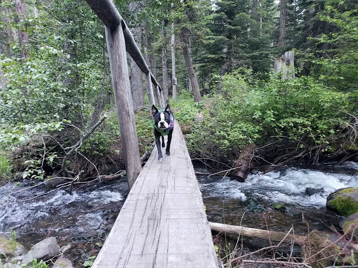Slide Creek Campground Picture 7