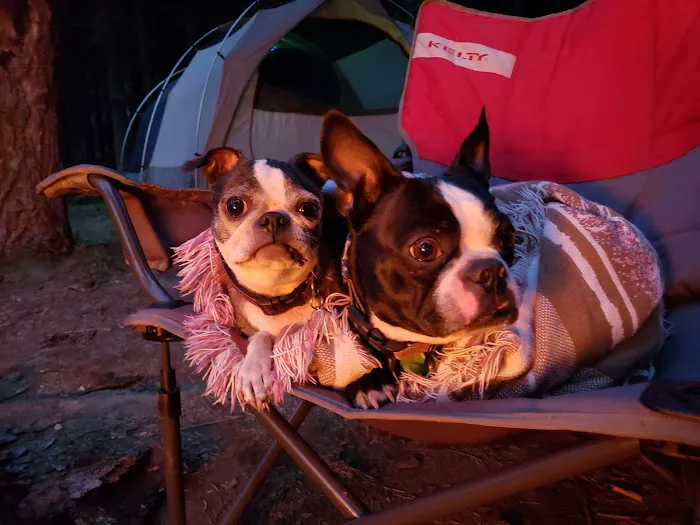 Slide Creek Campground Picture 9