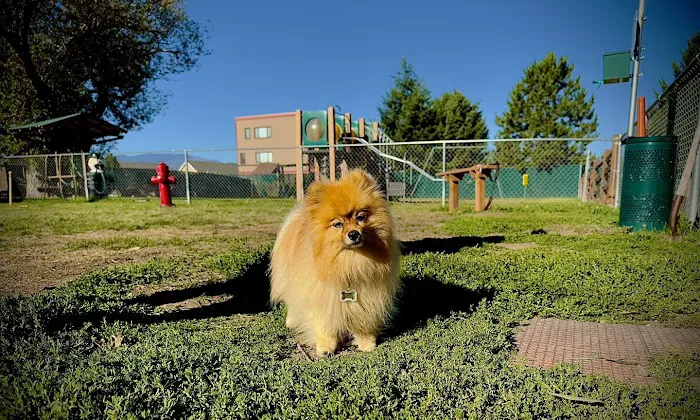 Missoula KOA Holiday Picture 9