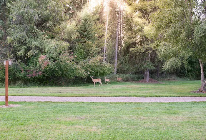 Mission Meadows Camping & RV Park Picture 4