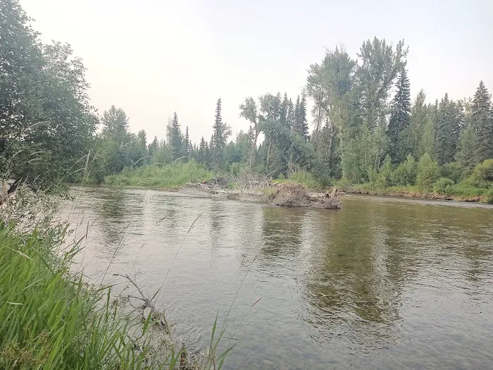 Cedar Creek Campground Picture 2