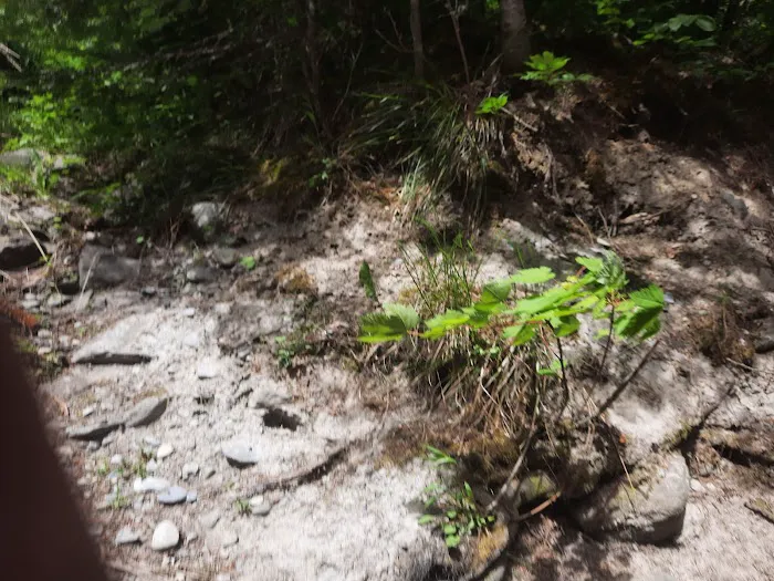 North Crow Creek Campground Picture 4