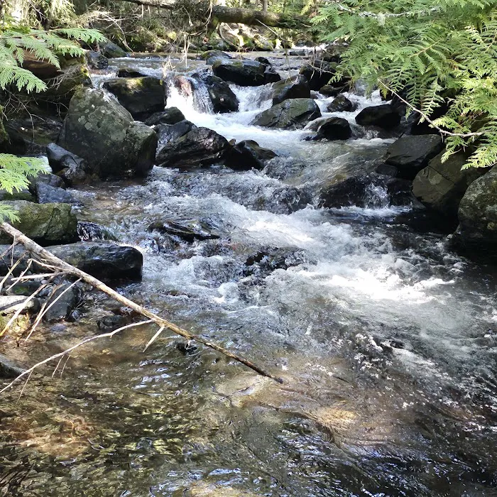 North Crow Creek Campground Picture 6
