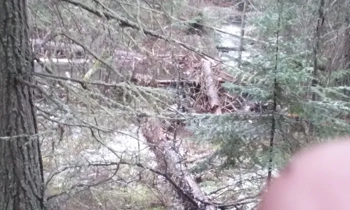 North Crow Creek Campground Picture 5