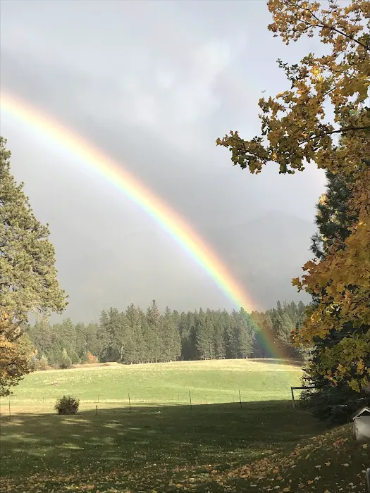 Mere’s Magic Rainbow Trout Farm Picture 5