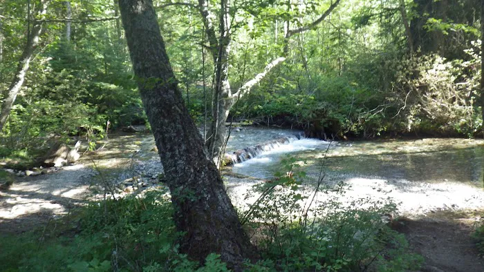 Soup Creek Campground Picture 2