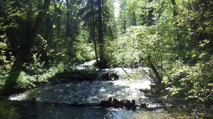 Soup Creek Campground Picture 1