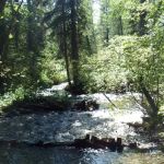 Soup Creek Campground