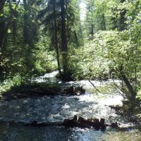 Soup Creek Campground ico